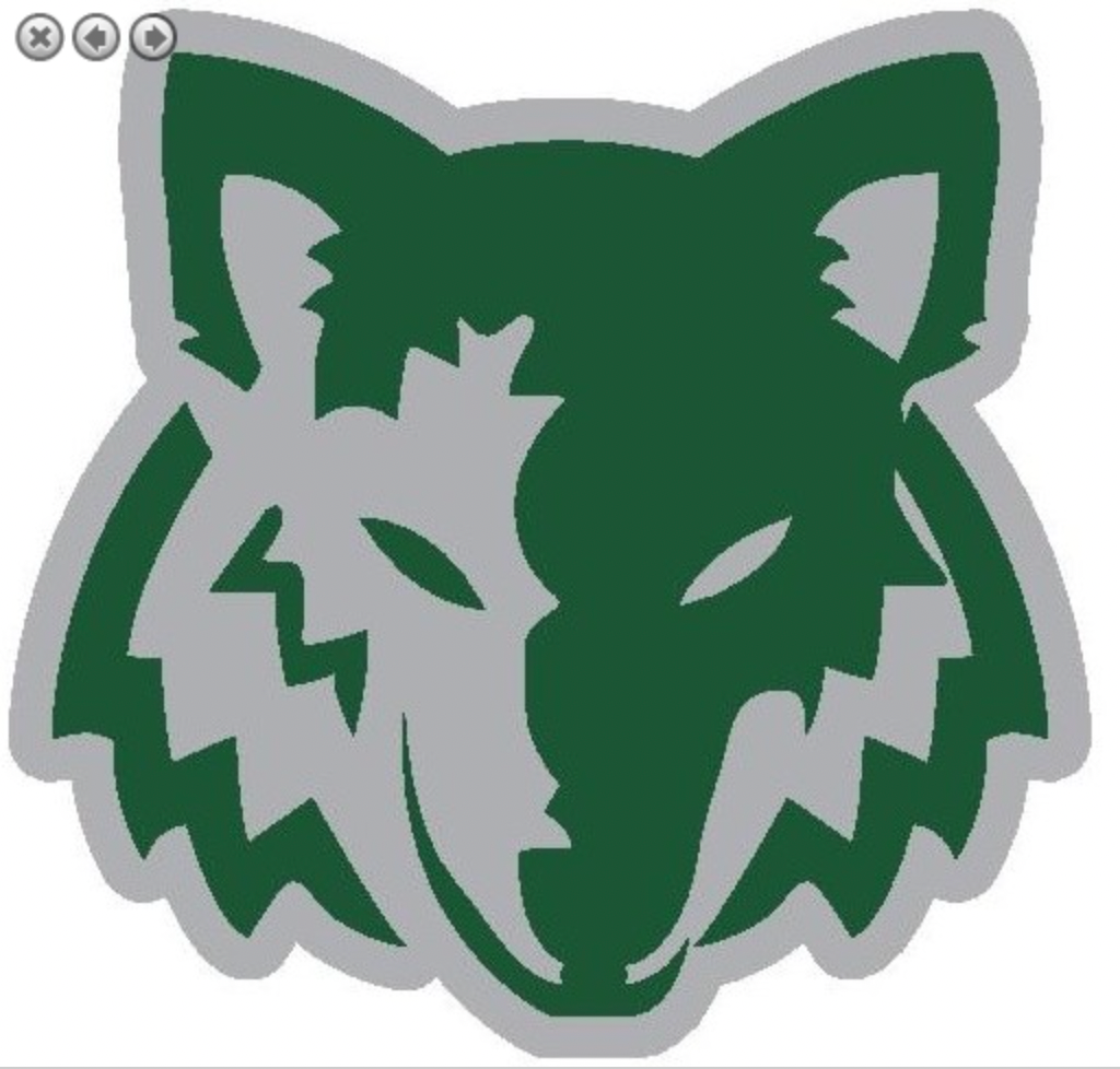 High School Mascot Patch