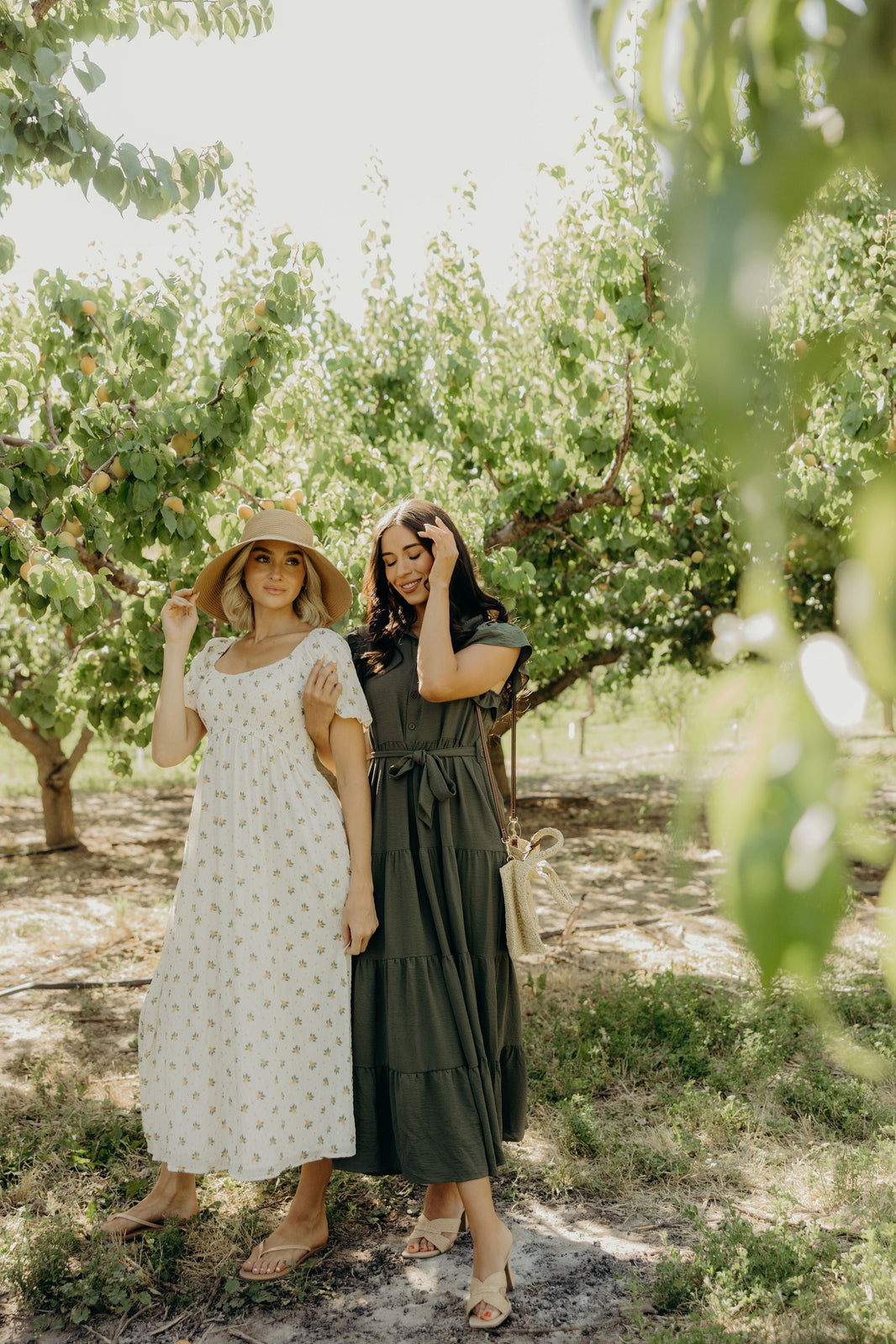 THE GOLDIE IN HIDDEN FALLS