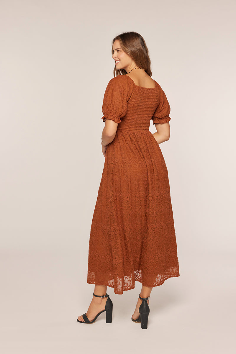 Tea N Rose - Embroidered Mesh Dress - Brown