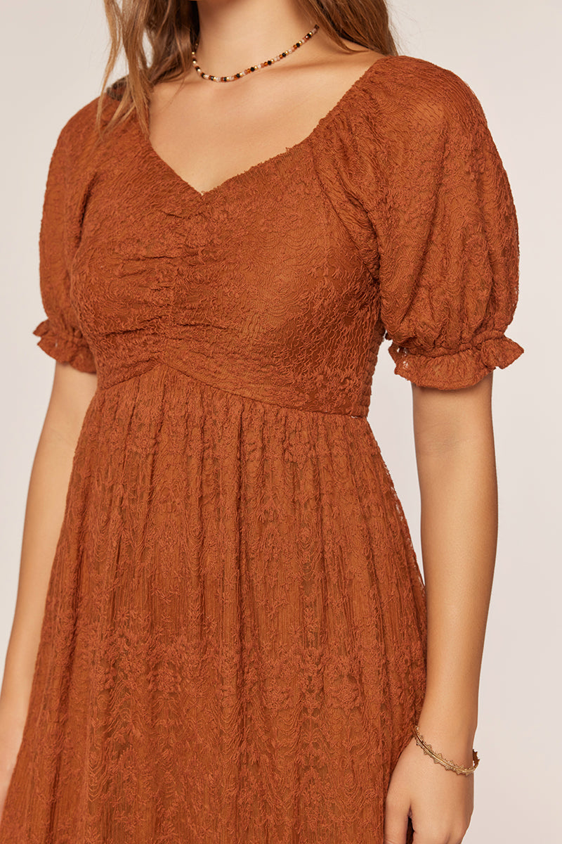 Tea N Rose - Embroidered Mesh Dress - Brown