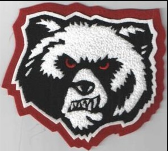 High School Mascot Patch