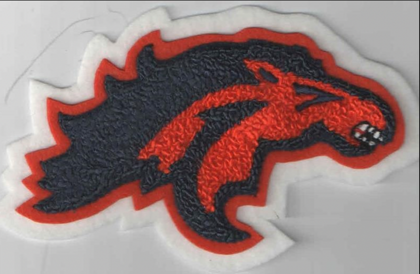 High School Mascot Patch