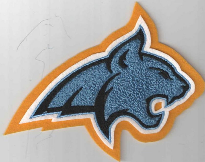 High School Mascot Patch