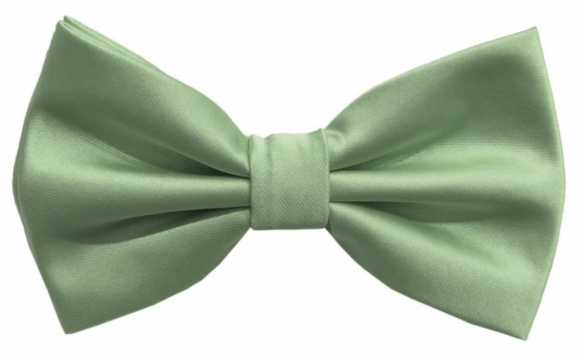 Brand Q Solid Bow Tie
