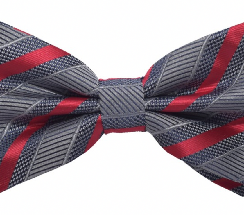 Brand Q Striped Bow Tie & Hanky