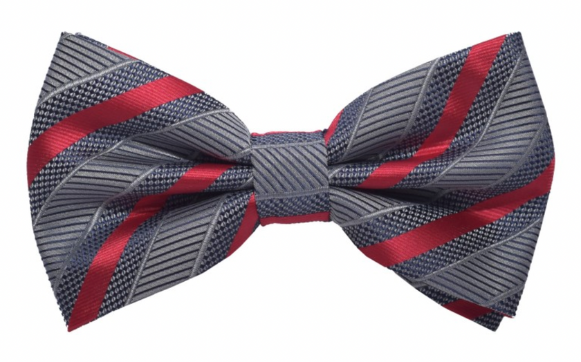 Brand Q Striped Bow Tie & Hanky