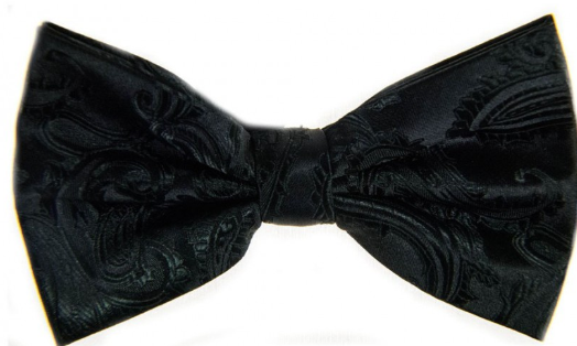 Brand Q Paisley Bow Tie & Hanky