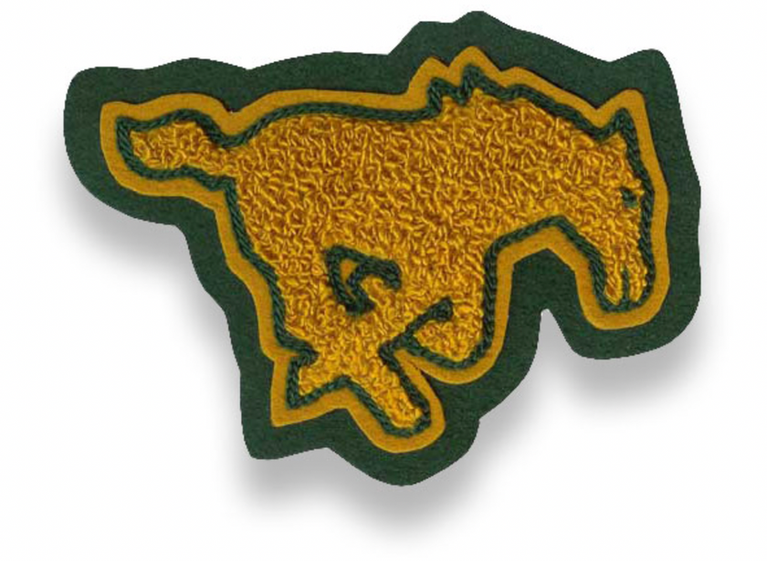 High School Mascot Patch