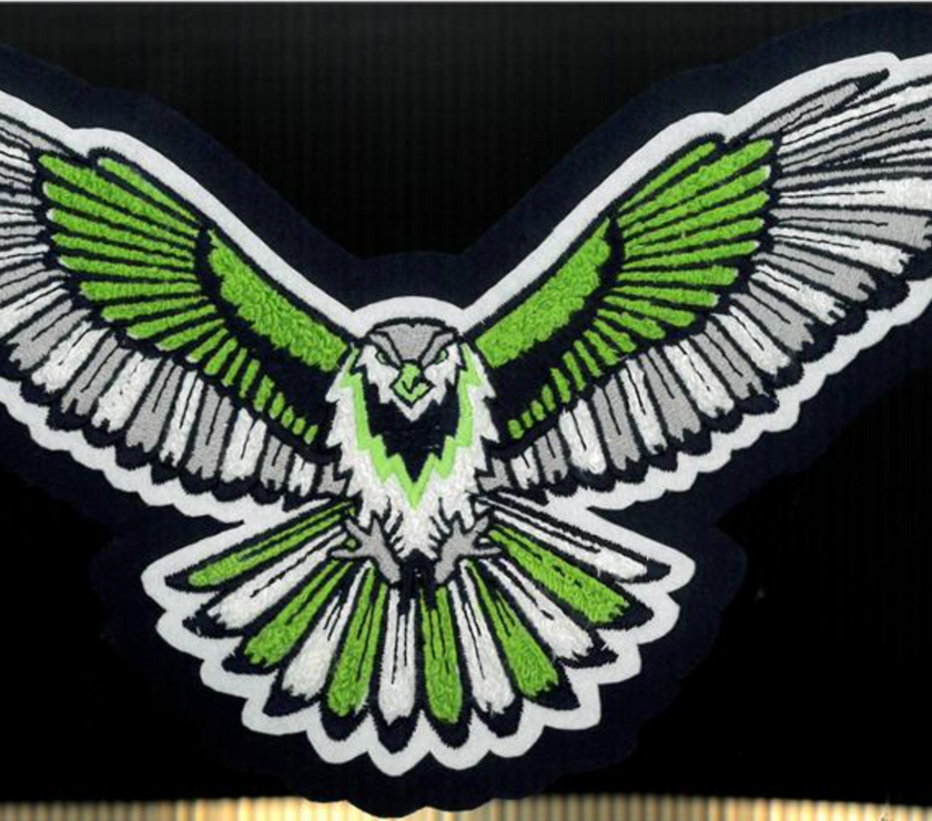 High School Mascot Patch