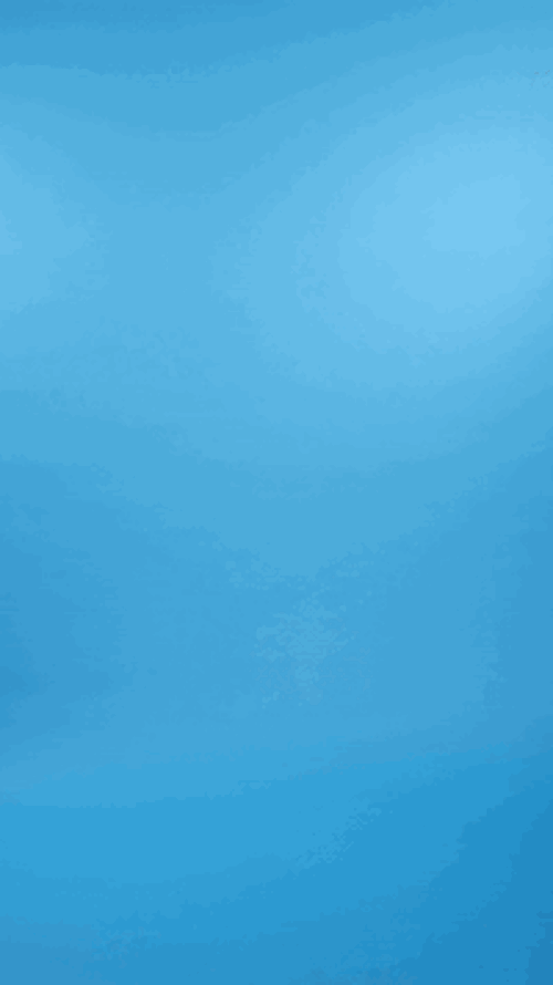 &Collar Range Long Sleeve Dress Shirt